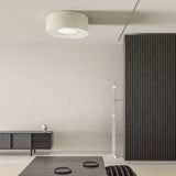 Velvet Ceiling Light