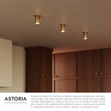 Vintage Brass Astoria Semi-Flush Mount by Kuzco