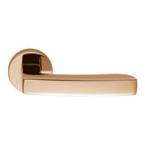 Viola Door Lever in Vintage by Colombo Design