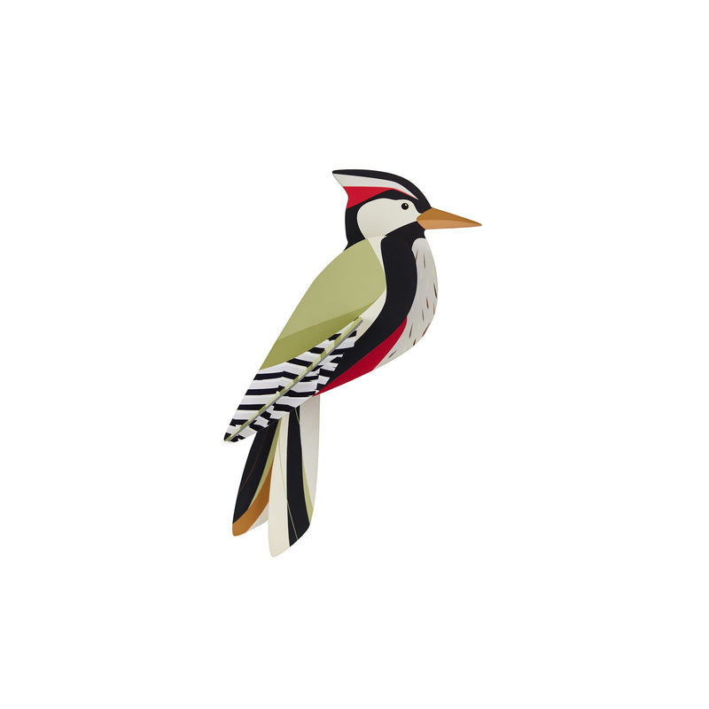 Woodpecker Wall Art