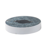 Wafer Empty EM Flush Mount by Maxim Lighting