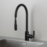 Welders Cross Black Kitchen Faucet-Pull-Out With Dual Spray by Buster and Punch
