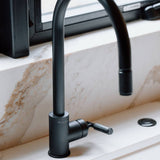 Welders Black Linear Kitchen Faucet-Pull-Out With Dual Spray by Buster and Punch in Details View