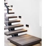 Wend Outdoor Wall/Step Light