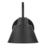 Wes Small Gooseneck Barn Light
