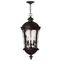 Windsor Large Hanging Lantern - Black - by Hinkley