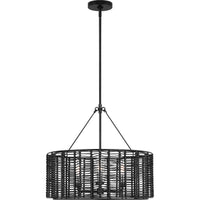 Winslow Shade Chandelier — 23 3/4", Clear, Midnight Black