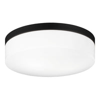 Xenon Ceiling Mount 11 Inch Black