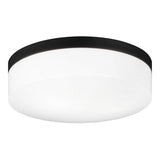 Xenon Ceiling Mount 11 Inch Black