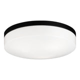 Xenon Ceiling Mount 14 Inch Black