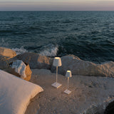 Poldina Pro LED Portable Table Lamp