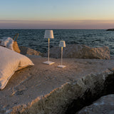 Poldina Pro LED Portable Table Lamp