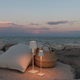 Poldina Pro LED Portable Table Lamp