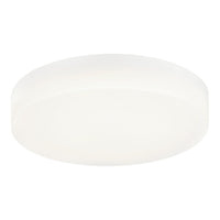 Zelle Ceiling Mount 11 Inch