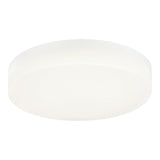 Zelle Ceiling Mount 11 Inch