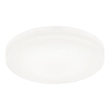 Zelle Ceiling Mount 14 Inch