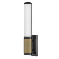 Zevi Medium LED Sconce - Black - by Hinkley