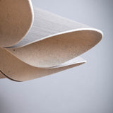 Delfina Acoustic Pendant