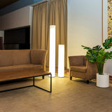 Fity Battery Floor Lamp