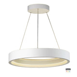 iCorona Friends of Hue LED Pendant by ET2 - 