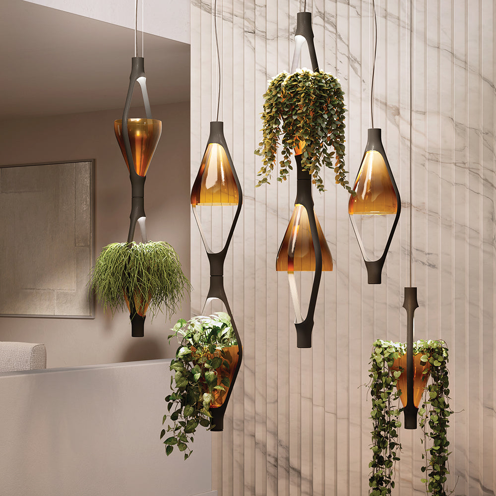 Hanging pendants with plants