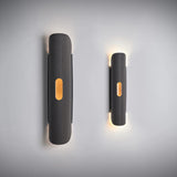 Lupe Wall Sconce