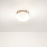 Ceiling Space Ceiling Flush Light lifestyle 4