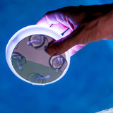 Papaya 12 Battery Wall Lamp