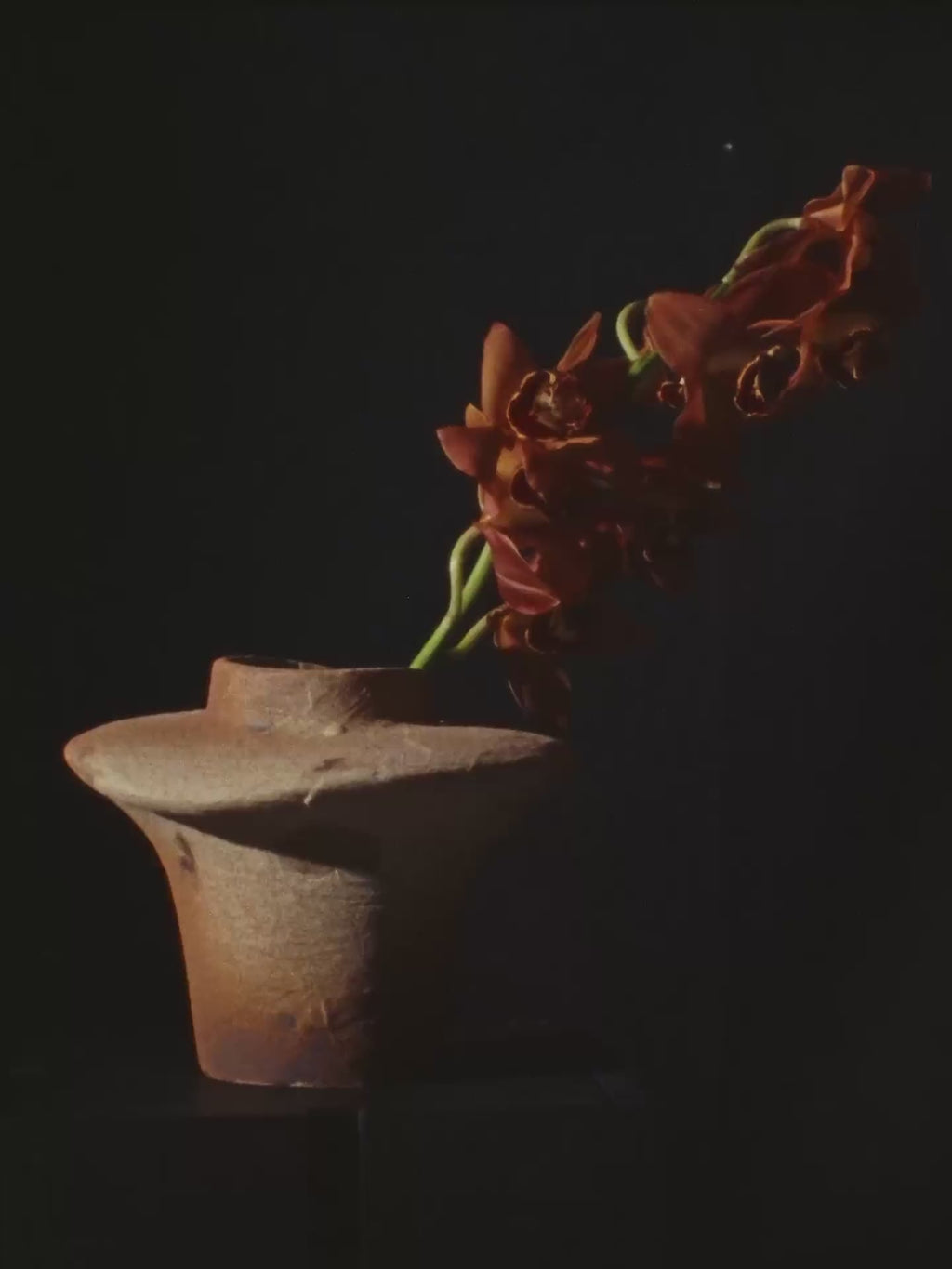 Evio Vase video 1
