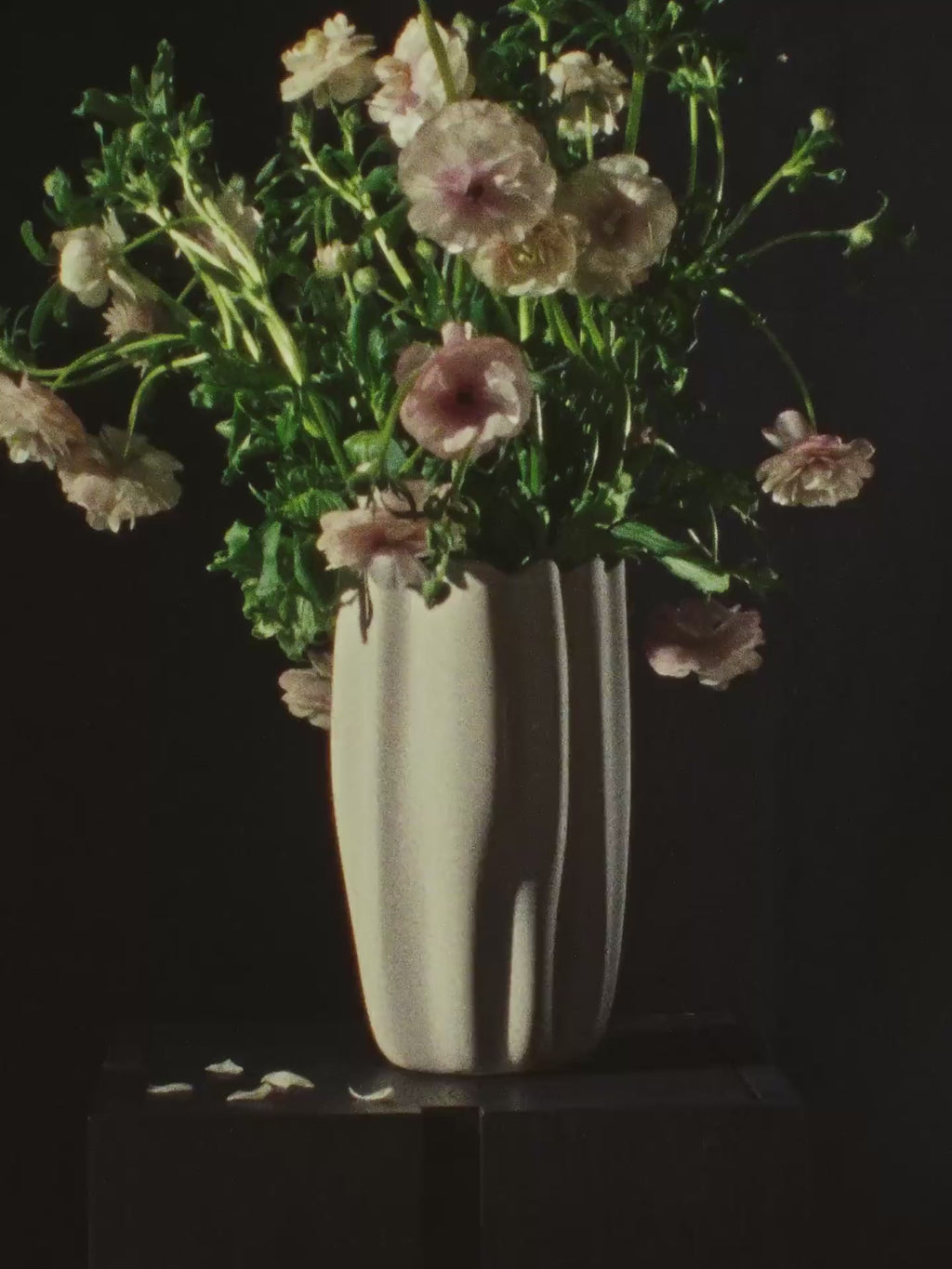 Nium Vase video 1