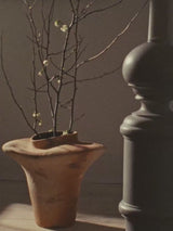 Evio Vase video 2
