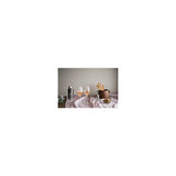 Rosendahl Premium Champagne Glass, Clear, 12.5 Oz, 2 Pcs. By Rosendahl