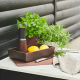Rosendahl RÅ Condiment Caddy, Thermo Ash, H: 3" By Rosendahl