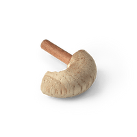 Kay Bojesen Spare Part for Monkey, Mini Paw without Logo, Teak/Limba By Kay Bojesen