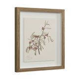Crema Medium Walnut By Renwil