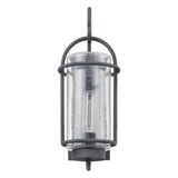 Taplow 16-inch 1-light Weathered Zinc Exterior Wall Sconce with Clear Seeded Glass Shade