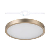 Argyle 16-inch Champagne Gold and Natural Alabaster 5CCT LED Flush Mount