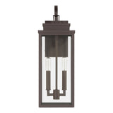 Hillside 20-inch 2-light Dark Bronze Exterior Wall Sconce with Clear Glass