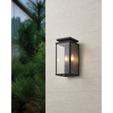 Overton 14-inch 2-light Matte Black Exterior Wall Sconce with Clear Antique Glass