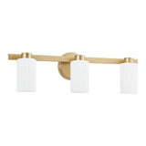 Bedminster 24-inch 3-light Champagne Gold Vanity Light with Etched Opal Ribbed Glass Shades