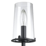Jared 13-inch 1-light Matte Black Vanity Light with Clear Glass Shade