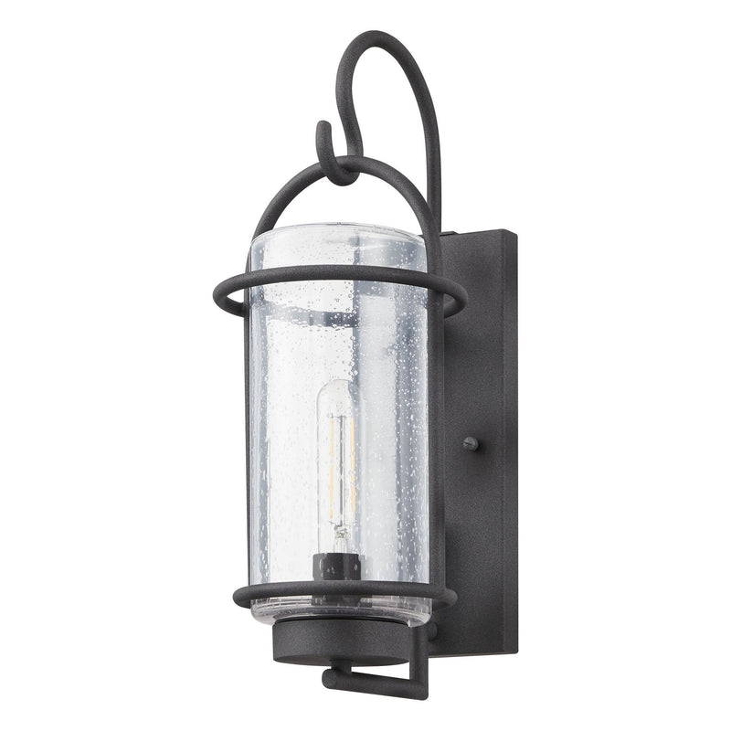 Taplow 16-inch 1-light Weathered Zinc Exterior Wall Sconce with Clear Seeded Glass Shade