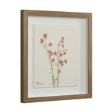 Crema Medium Walnut By Renwil