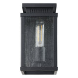 Overton 9-inch 1-light Matte Black Exterior Wall Sconce with Clear Antique Glass
