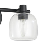 Valentina 15-inch 2-light Matte Black Vanity Light with Clear Glass Shades