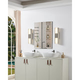 Colton 18-inch 2-light Brushed Nickel 5CCT LED Vanity Light with Etched Opal Glass Shades
