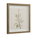 Crema Medium Walnut By Renwil