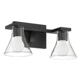 Gilford 14-inch 2-light Matte Black Vanity Light with Clear Glass Shades