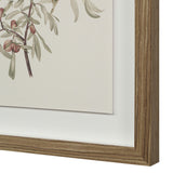 Crema Medium Walnut By Renwil