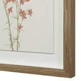 Crema Medium Walnut By Renwil